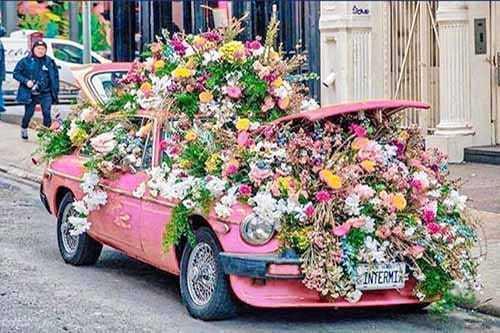 Fleuriste épines De Paradis Livraison Fleurs Sur Marseille